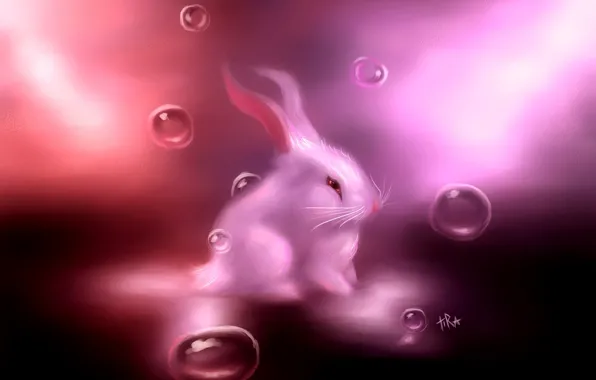 Картинка белый, пузырьки, розовый, заяц, кролик, арт, зайчик