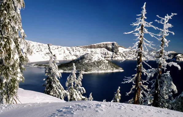 Картинка зима, лес, снег, деревья, природа, озеро, остров
