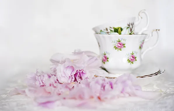 Картинка цветы, чашки, посуда, розовые, пионы