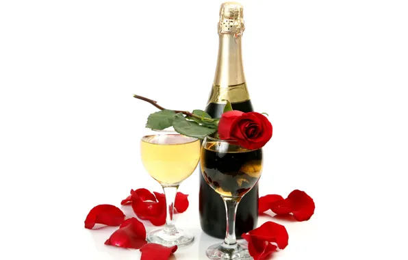 Картинка вино, роза, бутылка, лепестки, бокалы, белый фон, шампанское, красная