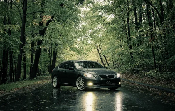 Картинка дорога, лето, дождь, Lexus