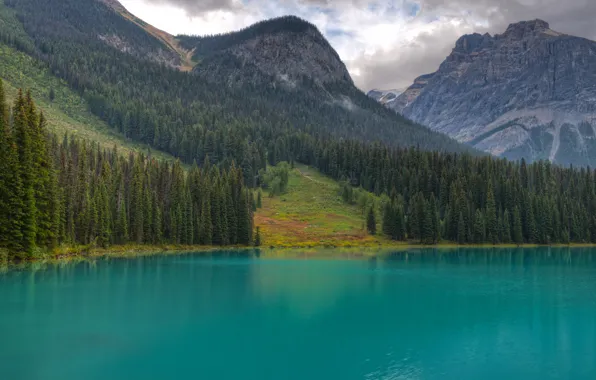 Картинка лес, деревья, горы, озеро, елки, Canada, British Columbia, Yoho National Park, Emerald Lake