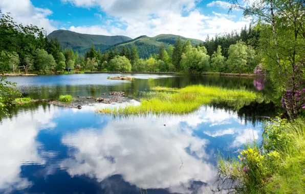Картинка зелень, лес, небо, вода, облака, деревья, пейзаж, горы, озеро, отражение, Шотландия, Великобритания, Scotland, Great Britain