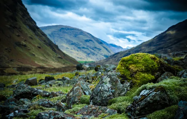 Картинка горы, камни, мох, Шотландия, Scotland