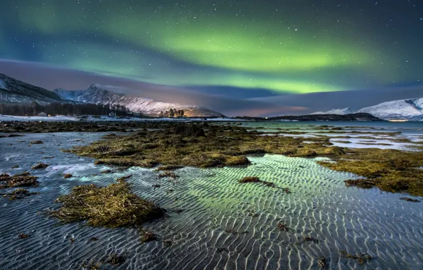 Картинка зима, песок, небо, вода, звезды, снег, водоросли, горы, ночь, берег, остров, северное сияние, рябь, Норвегия