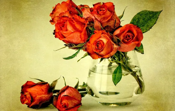 Картинка листья, вода, цветы, растение, розы, букет, красные, ваза, red, flowers, roses