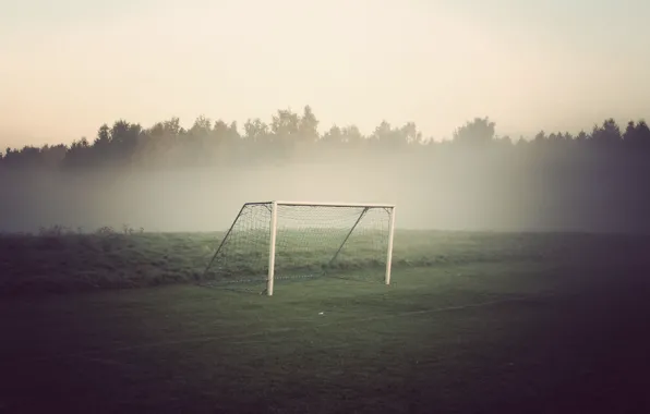 Картинка поле, лес, туман, футбол, ворота