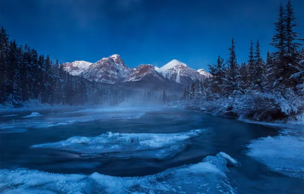 Картинка зима, лес, снег, горы, ночь, река, лёд, Канада, Альберта