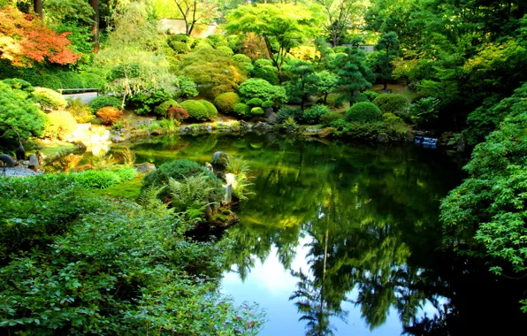 Картинка природа, пруд, фото, сад, США, кусты, Oregon, Portland