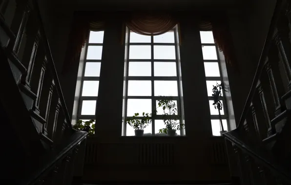 Картинка цветы, окно, лестница, подоконник, шторы