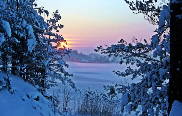 Картинка зима, снег, природа, утро