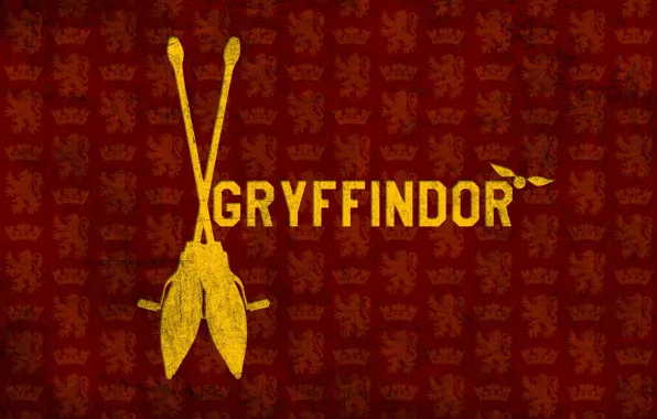 Картинка Гарри Поттер, метла, Harry Potter, Гриффиндор, Gryffindor, снитч