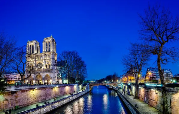 Картинка вода, свет, деревья, ночь, мост, город, отражение, река, Франция, Париж, Сена, Paris, Собор Парижской Богоматери, …