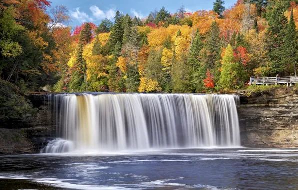 Картинка осень, лес, деревья, река, водопад, Мичиган, Michigan, Tahquamenon Falls State Park, Tahquamenon Falls, Tahquamenon River, …