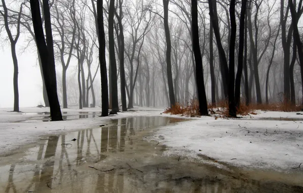 Картинка ice, rain, water, snow, fog, Wintermission