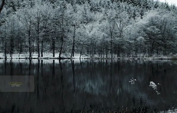 Картинка холод, лес, снег, озеро
