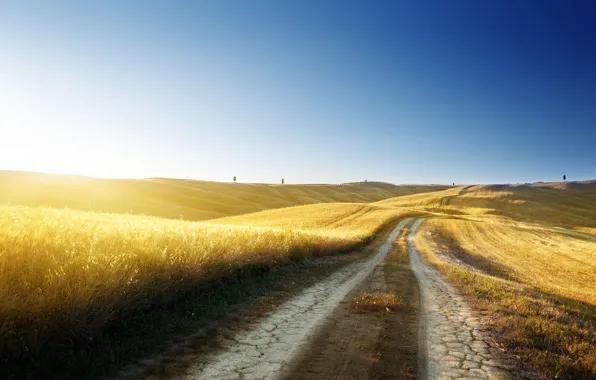 Картинка дорога, пшеница, лето, небо, трава, свобода, солнце, свет, деревья, следы, природа, синева, тепло, дерево, холмы, …
