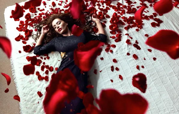 Картинка девушка, розы, лепестки, Daniel Ilinca, Red Roses