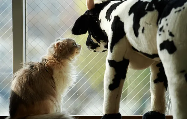 Картинка кошка, кот, игрушка, корова, окно