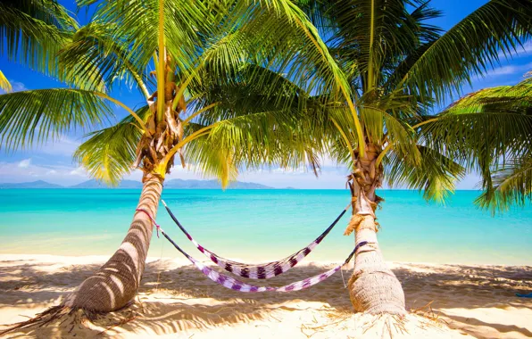 Картинка песок, море, пляж, тропики, пальмы, берег, summer, sunshine, beach, sea, ocean, paradise, vacation, palms, hammock, …