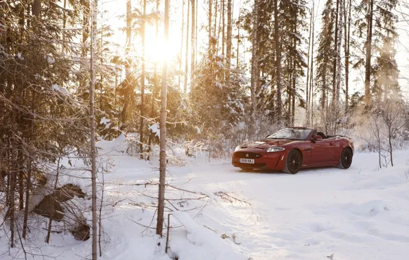 Картинка зима, лес, солнце, снег, красный, Jaguar, ягуар, кабриолет, Convertible, XKR-S