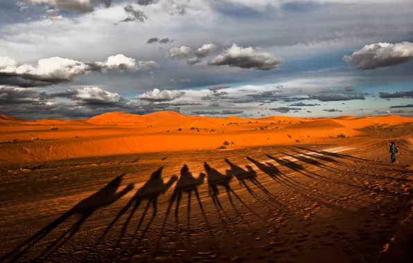 Картинка пустыня, тени, верблюды, караван