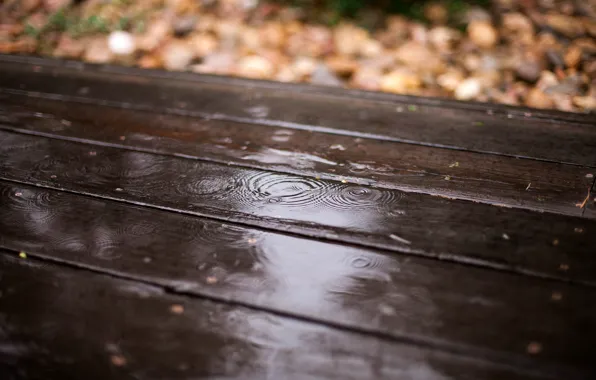 Картинка осень, листья, капли, дождь, доски, размытость, деревянные