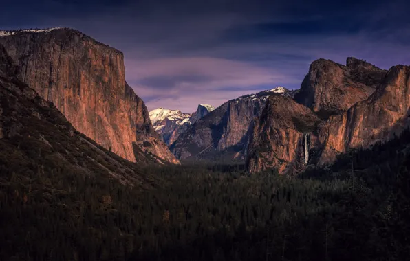 Картинка лес, деревья, долина, Калифорния, California, Национальный парк Йосемити, Yosemite National Park, горы Сьерра-Невада, Sierra Nevada …