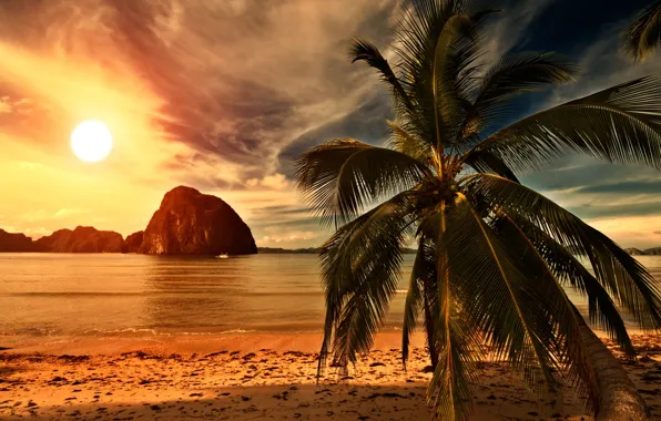 Картинка песок, море, пляж, небо, солнце, облака, пейзаж, закат, природа, тропический пляж, пальмы, океан, берег, beach, …