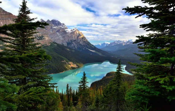 Картинка лес, облака, деревья, горы, озеро, скалы, Канада, Альберта, Banff National Park, Alberta, Canada, Банф, Peyto …