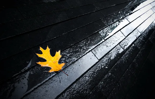 Картинка осень, вода, лист, мостовая