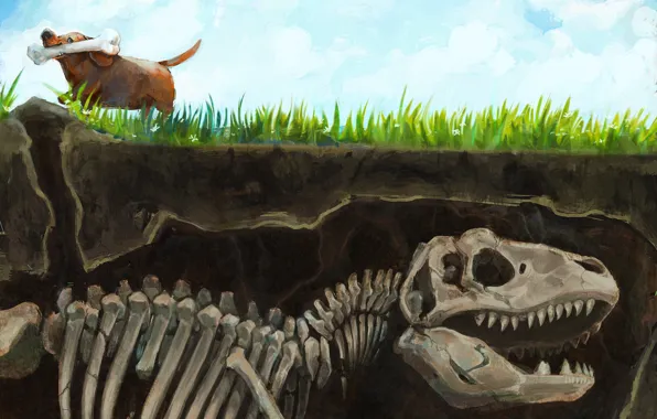 Картинка трава, земля, динозавр, собака, арт, скелет, кость