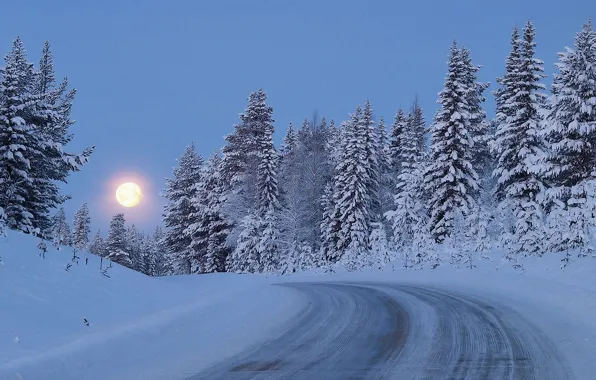 Картинка дорога, лес, снег, деревья, луна, Зима, сумерки