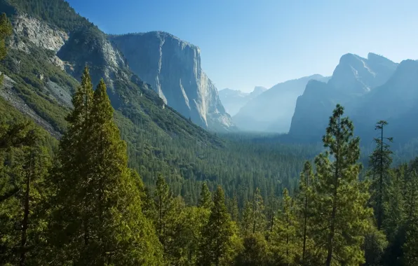 Картинка лес, деревья, горы, скалы, долина, Калифорния, панорама, дымка, ущелье, США, Национальный парк Йосемити, Yosemite National …