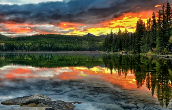 Картинка лес, закат, озеро, отражение, дно, Канада, Альберта, Alberta, Canada, Jasper National Park, Pyramid Lake