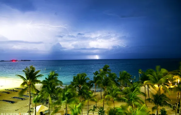 Картинка песок, море, пляж, тучи, тропики, пальмы, пасмурно, побережье, молнии, горизонт, Bahamas, Багамы