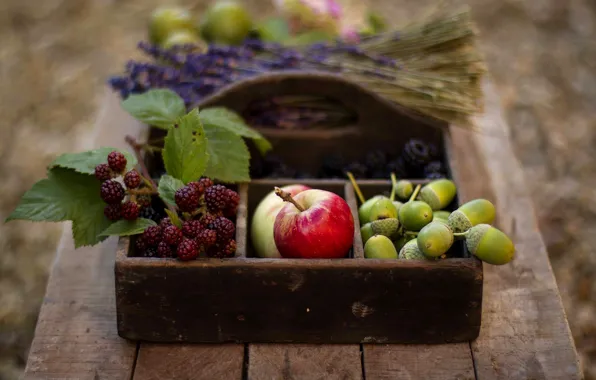 Картинка осень, ягоды, стол, корзина, яблоки, фрукты, желуди, ежевика, лаванда