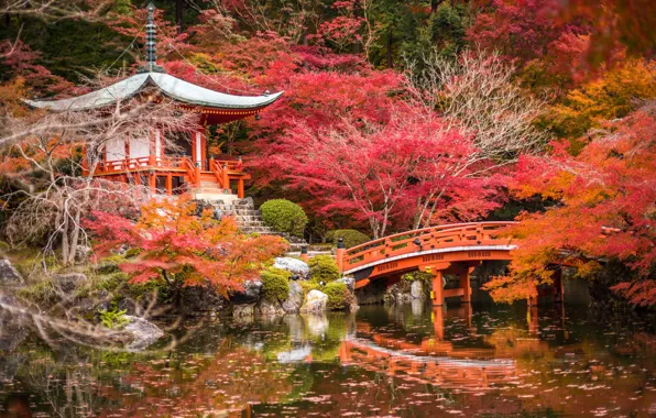 Картинка осень, деревья, пруд, парк, камни, Япония, пагода, мостик, беседка, Киото, кусты, красочно