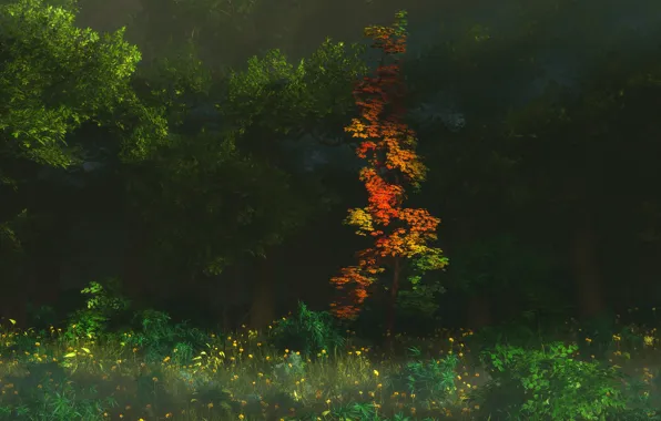 Картинка осень, лес, деревья, цветы, природа, графика, digital, First Blush