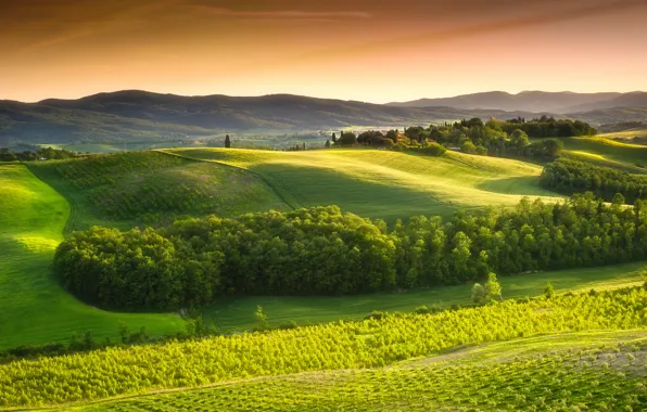 Картинка небо, деревья, пейзаж, природа, Италия, Landscape, sky, trees, Italy, nature, сельская местность, green field, Тоскана, …