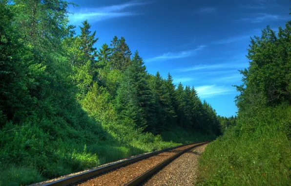 Картинка деревья, природа, пути, фото, транспорт, рельсы, железная дорога, поезда, шпалы, леса, железные дороги