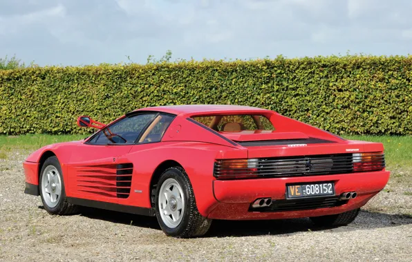 Картинка машина, Ferrari, вид сзади, Testarossa