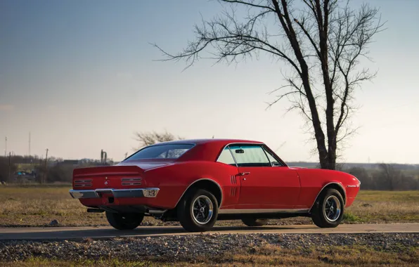 Картинка red, Pontiac, 1967, american, musclecar, firebird, 400
