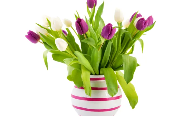 Картинка листья, букет, зеленые, фиолетовые, тюльпаны, белый фон, ваза, белые