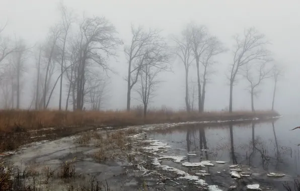 Картинка осень, туман, озеро