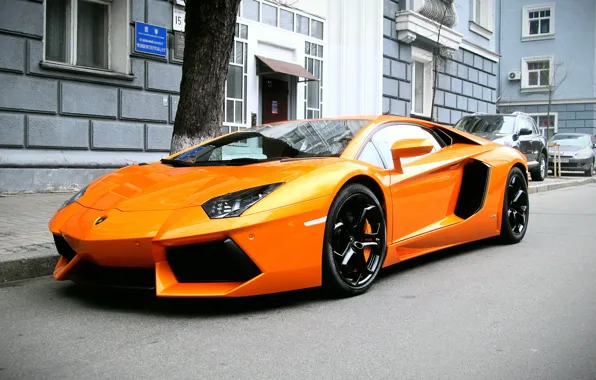 Картинка оранжевый, Lamborghini, суперкар, ламборджини, Aventador, авентадор, LP 700-4