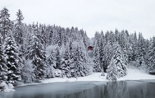 Картинка зима, лес, снег, деревья, озеро, Швейцария, домик