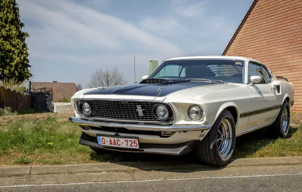 Картинка Mustang, Ford, white, Mach 1, 351
