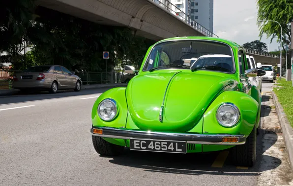 Картинка зеленый, жук, Volkswagen Beetle