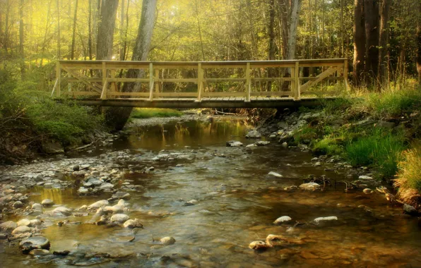 Картинка лес, мост, река, ручей